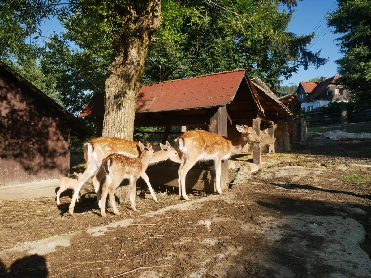 Penzion Obora Prostřední Bečva Екстериор снимка